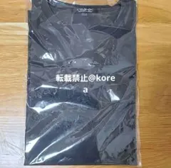 パクジュニル ジュニル ECHO 韓国 東京 ファンミ Tシャツ 新品未開封