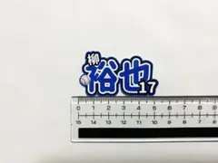 中日ドラゴンズ 柳裕也 ステッカー シール