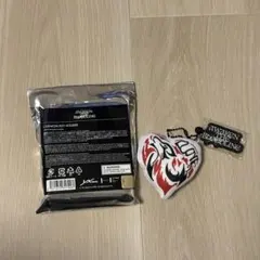 &team ニコラス アイドル