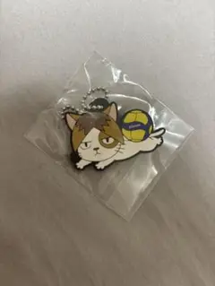 ハイキュー mikasa ケンマネコ