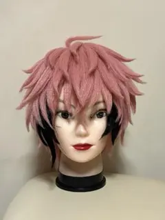 赤城ウェン ウィッグ にじさんじ コスプレ【即購入不可】 - メルカリ
