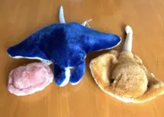 Item thumbnail for item b2556dbb-a1b0-4759-acf8-0bff43c1bd94