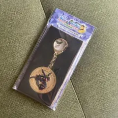 ポケモンメガスタンプラリー　キーホルダー