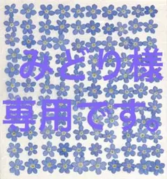 みどり様 リクエスト 2点 まとめ商品