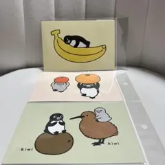 さかざきちはる suicaのペンギン ポストカード 3点セット