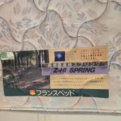 フランスベッド Z-HI SPRING マットレス