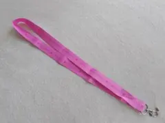 Item thumbnail for item 45e1d201-0486-4308-b9aa-7db512bbe4cf