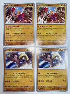 エビワラー　サワムラー　各2枚　セット