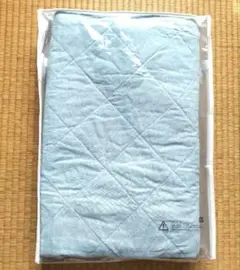 Item thumbnail for item 26c73ab8-9468-46d1-97b0-29c9bc22483e