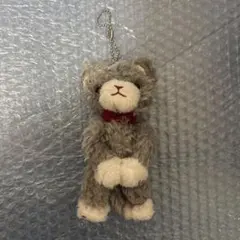 プリキャミニ 蘭丸