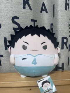 ハイキュー ふわコロりん BIG 岩泉一 - メルカリ