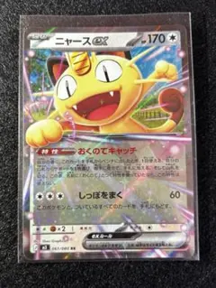 く*ー様 ニャースex HP170 ニャースex(hp:170/おくのてキャッチ/しっぽをまく)の効果や採用されて
