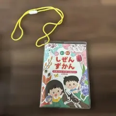 児童文庫　絵本知育　こどものとも　こどものくに　ワンダーしぜんランド　ちゃれんじ 付録あり！ワンダーランド ワンダーしぜんランド 31冊セット