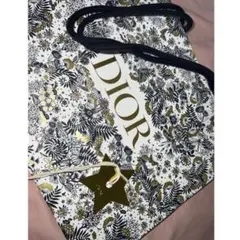 Diorショッパー クリスマス限定柄2021