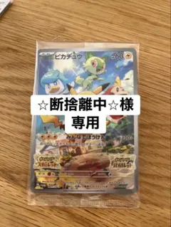 ⭐︎断捨離中⭐︎様専用