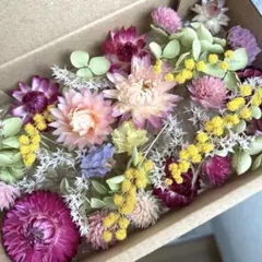 ドライフラワー花材セット　No.13
