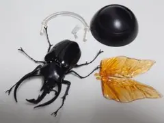 いきもの大図鑑 かぶとむし02　コーカサスオオカブト