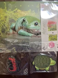 一番くじ　爬虫類&両生類　ラバーコレクション　ファイル　3点セット