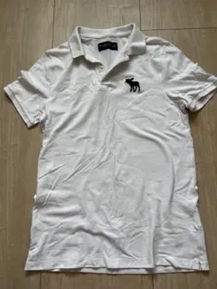 Abercrombie & Fitch ポロシャツ メンズM