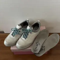 Item thumbnail for item 9113f6e1-f82b-475d-927f-cae439e68468