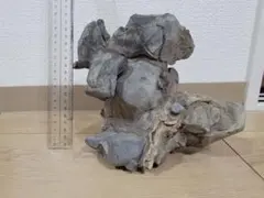 2026年最新】鑑賞石の人気アイテム - メルカリ