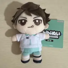 2026年最新】及川徹 ぬいぐるみの人気アイテム - メルカリ