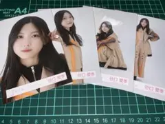 Item thumbnail for item fcd2535d-fd22-4643-bfe2-b6e40856b041