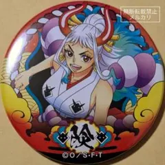 ワンピース 輩缶バッジ 第26弾 サバイバルの海 ボア・ハンコック