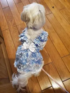 No.507犬服 猫服 ハンドメイド ワンピース わんちゃん - メルカリ