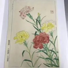安藤真司「森の誘い 2018-1」版画 額装 花図 インテリア #510-3 - メルカリ