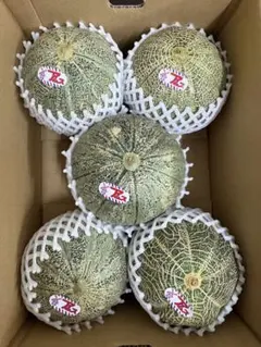産地直送！青肉アムスメロン❗️甘くて美味しい❗️5玉箱込5.5キロ前後のサムネイル