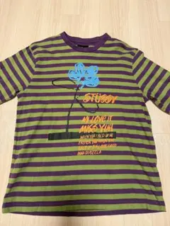 Stussy Sサイズ 紫緑ストライプ Tシャツ