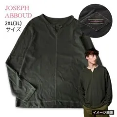 JOSEPH ABBOUD　ロングTシャツ　刺繍　3L　カーキ　緑　オンワードのサムネイル