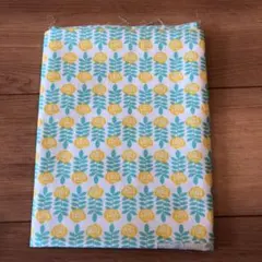 Item thumbnail for item 33efbb68-0996-42e6-bf65-64d25529973b