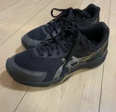 asics V-SWIFTFF3SOオリジナルデザインローカ ットサイズ27.0 - メルカリ