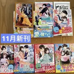 ベリーズ文庫11月新刊7冊セット
