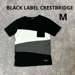 BLACK LABEL CRESTBRIDGE Tシャツ　半袖　Mのサムネイル