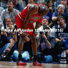【29cm】Nike Air Jordan 12 Retro (2016)