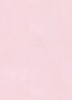 めろんそーだ様　専用
