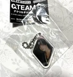 &team　アクリルチャームガチャガチャ　ニコラス