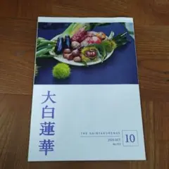 大白蓮華　2025年10月