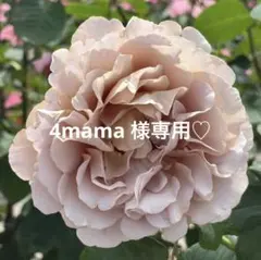 4mama プロフ必読様 リクエスト 2点 まとめ商品