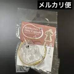わんこのタイムカプセル　モコ
