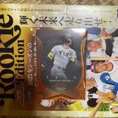 O.S.N.様 リクエスト 2点 まとめ商品