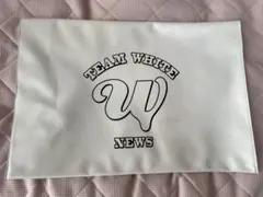 TEAM WHITE NEWS ハンドバック