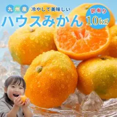 夏だけの贅沢☆九州産 訳あり ハウス みかん 10kg821 夏だけの贅沢☆九州産 訳あり ハウス みかん 10kg821 - メルカリ