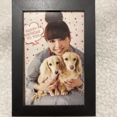 安室奈美恵 FC限定 ファンクラブ 年賀状 バースデーカード ポストカードのサムネイル