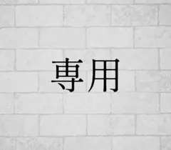 専用ページ
