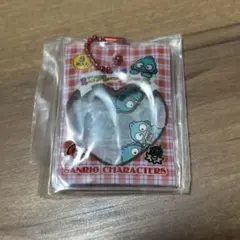 サンリオ　シャカシャカフレーク風チャーム　ミニフレークシール　ハンギョドン