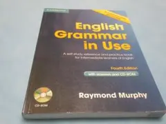 english grammar in use